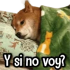 MIX de Memes #1⓿ 🎉💯 14