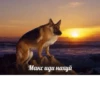 Макс иди нахуй