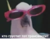 кто грустит тот трансвестит