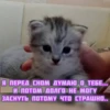 котRта и мYдрые мысли 2 24