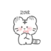 My cute white tiger. 26