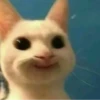 Funny Animals 3 25