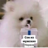Создать стикеры| 26