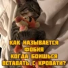 котRта и мYдрые мысли 2 25