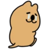 The world's happiest animal, Quka! 27