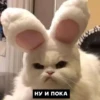Создать стикеры| 27