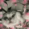 балбес - * стукай B лублу тебя