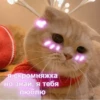 я скромняжка но знай, я тебя люблю