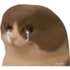 J geysioy