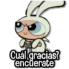 Cuál gracias? encuerate