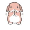 Quiet bunnies 29