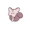 Sugar Glider Mickey's Daily Life 29