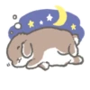 Quiet bunnies 30