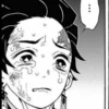 Demon slayer manga 27