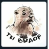Ты ВЫДОР