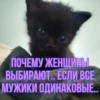 котRта и мYдрые мысли 2 29
