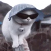 My favourite kittens ;: by 29