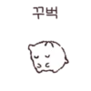 Fluffy hamster Bosongham 24