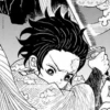 Demon slayer manga 29