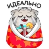 Manul_nsk 10