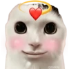 geysioy