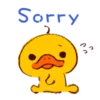 Sorry し