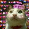 LoveAlkashky 7