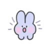 seulpo the rabbit crying every day 5