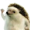 Funny Animals 2 7