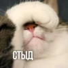 KXtKShy_by_achestickbot 9