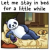 Lazy Panda 6