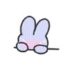 seulpo the rabbit crying every day 12