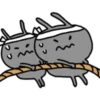 Korean ants win 6
