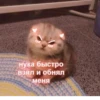 LoveAlkashky 11