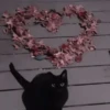 さ kittens :: 8