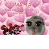с 8 марта🌷 8