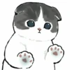 Kittens : : 🍢 9