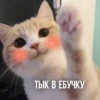 KXtKShy_by_achestickbot 13