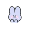 seulpo the rabbit crying every day 14