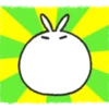 Tomung the snowball rabbit! 12