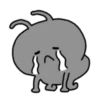 Korean ants win 12