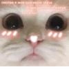 LoveAlkashky 14