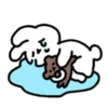 Emotional Rabbit! 5 6