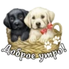 СТИКЕРЫ ОТ 17