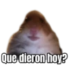 Que dieron hoy?