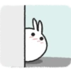 Tomung the snowball rabbit! 13