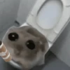 ANIMALITOS 🌟🥹 7