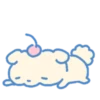 Cream Pupp 12