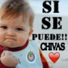 Cortes QLACA SI SE PUEDE!! CHIVAS