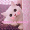 LoveAlkashky 15